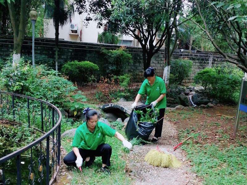 信泰物業(yè)強(qiáng)化衛(wèi)生整治，全面做好創(chuàng)衛(wèi)驗(yàn)收復(fù)查