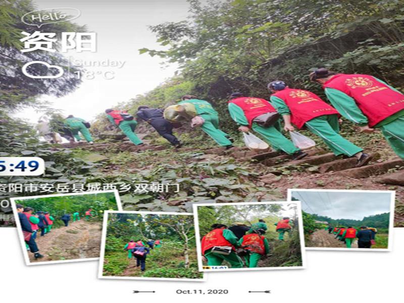 信泰志愿服務(wù)隊(duì)，有你們?cè)冢麄儾还聠危? class=