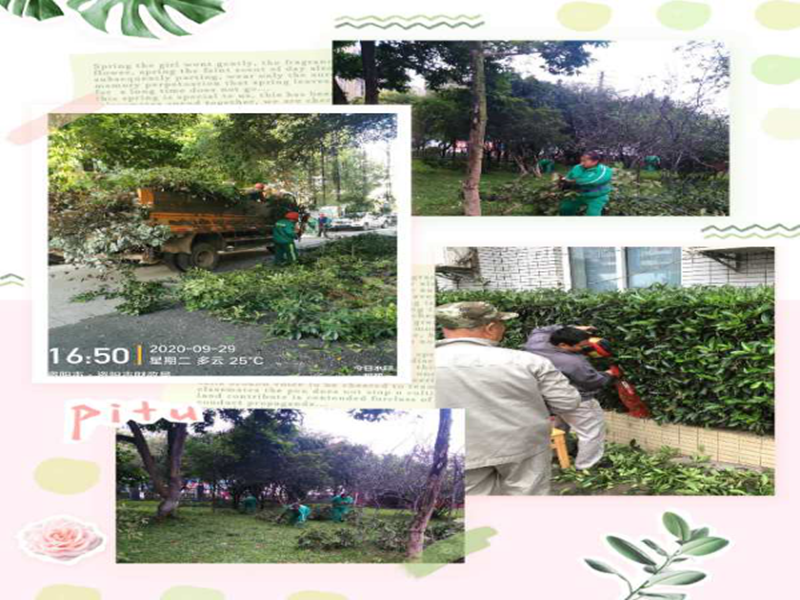 圖片關(guān)鍵詞 圖片關(guān)鍵詞