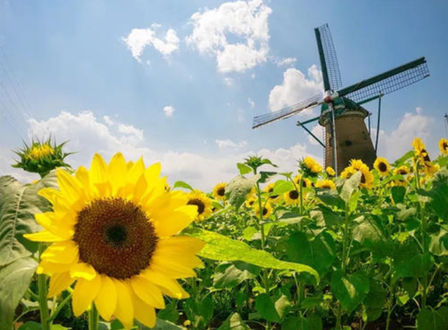 圖片關鍵詞 圖片關鍵詞