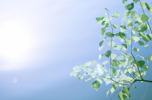 圖片關(guān)鍵詞 圖片關(guān)鍵詞