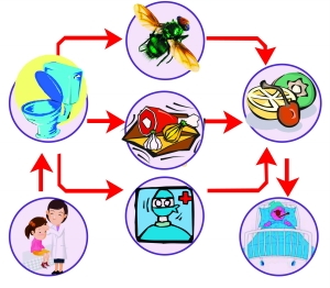 圖片關(guān)鍵詞 圖片關(guān)鍵詞