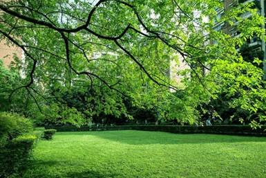 綠色，從信泰起航！