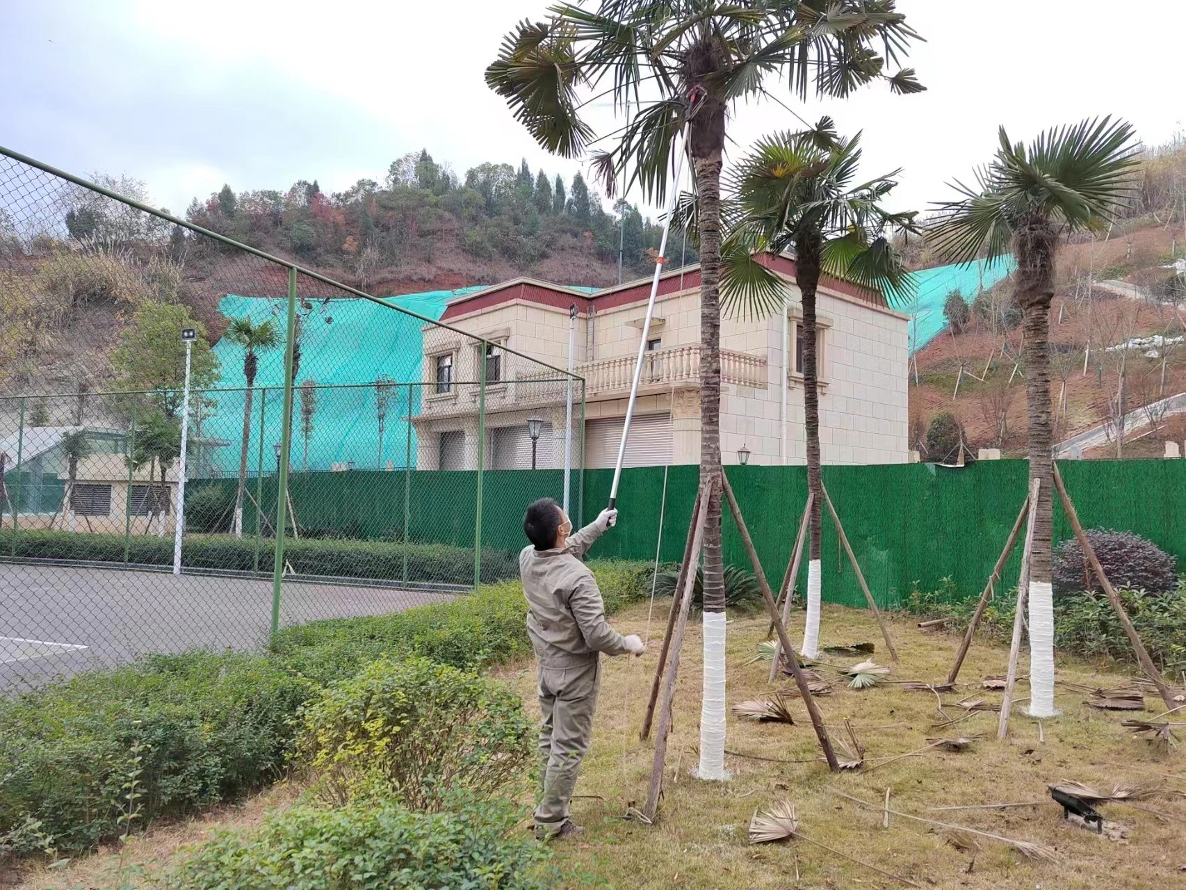 圖片關鍵詞 圖片關鍵詞