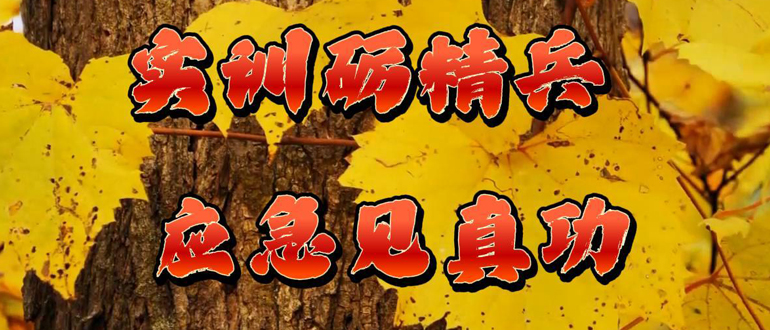 實(shí)訓(xùn)礪精兵 應(yīng)急見(jiàn)真功